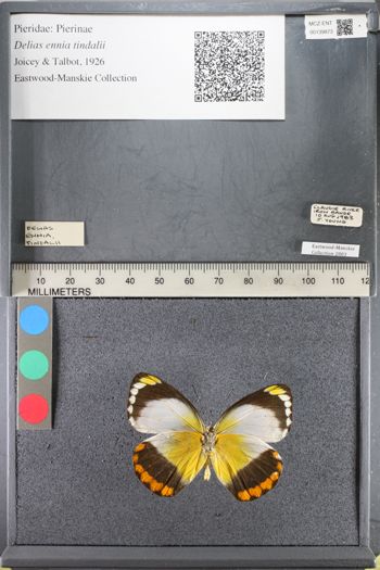 Media type: image;   Entomology 139873